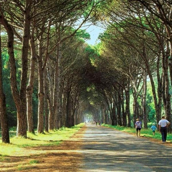 Casa Indipendente Pisa Villa ภายนอก รูปภาพ
