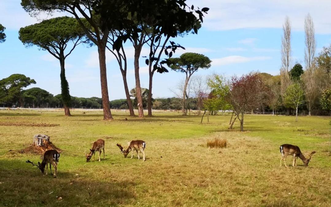 Casa Indipendente Pisa Villa ภายนอก รูปภาพ